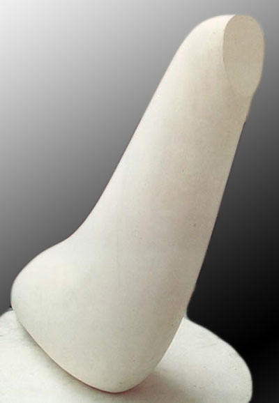 Brancusi Foca Brancusi Foca